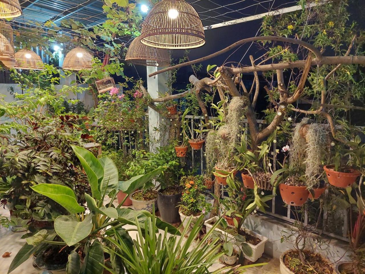 האנוי Alleyhomestay 2 מראה חיצוני תמונה